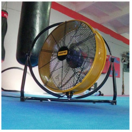 MASTER ventilator DF 20 P